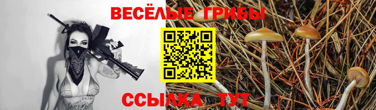 Псилоцибиновые грибы Psilocybe  купить наркоту  Псилоцибиновые грибы мухоморы  Топки  Вход с VPN 